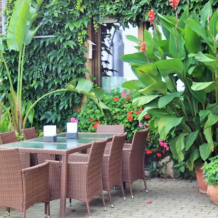 Apartment Gaestehaus Koen - Farfalle