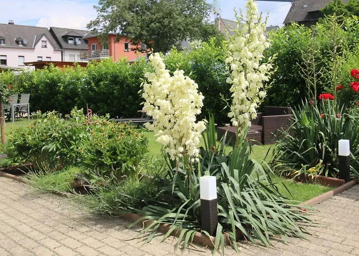 Gaestehaus Koen - Farfalle Zeltingen-Rachtig